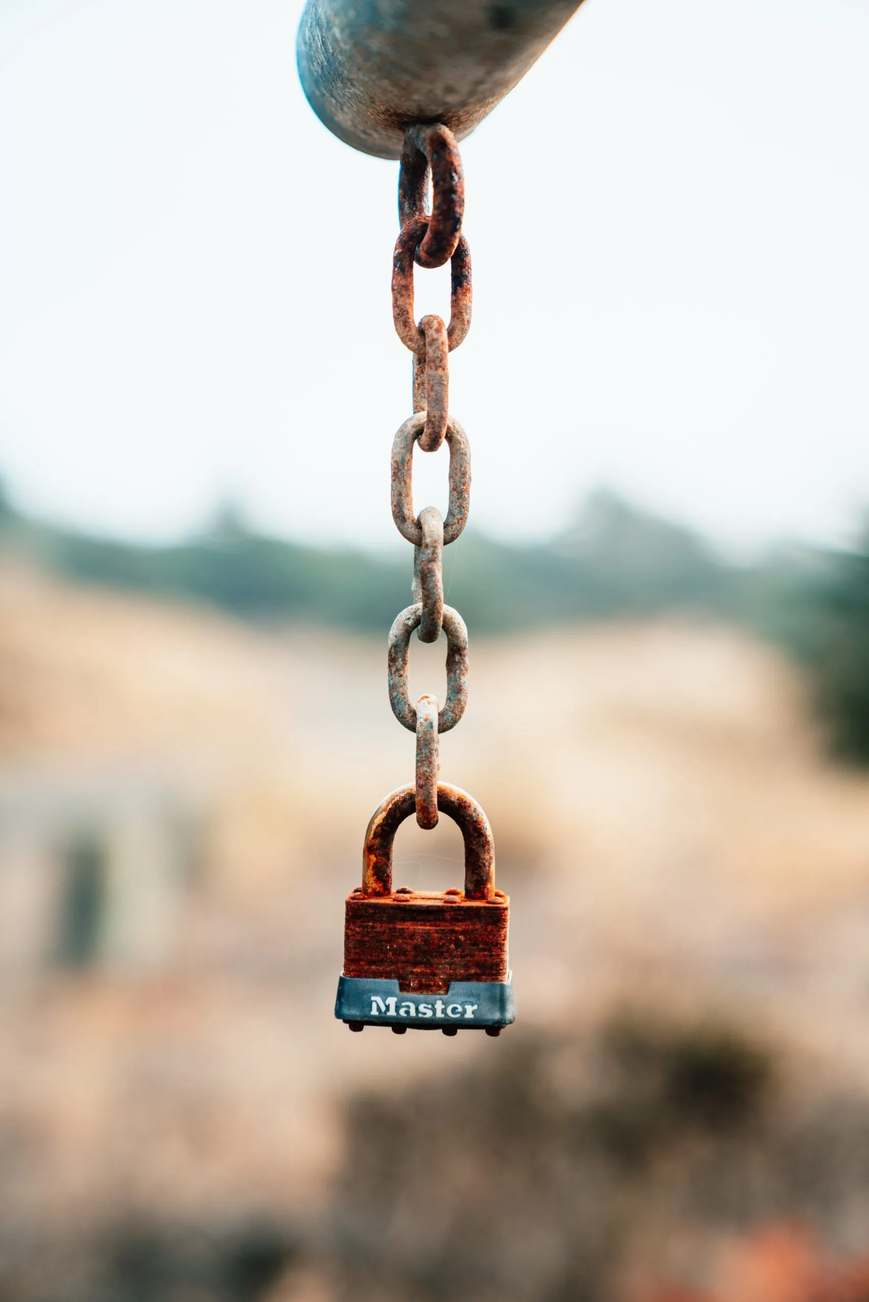 Which Backlinks Can Improve Your Rankings…