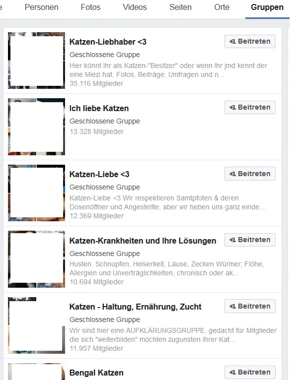 Facebook-Gruppen zum Thema Katze als Beispiel für die Themenrecherche