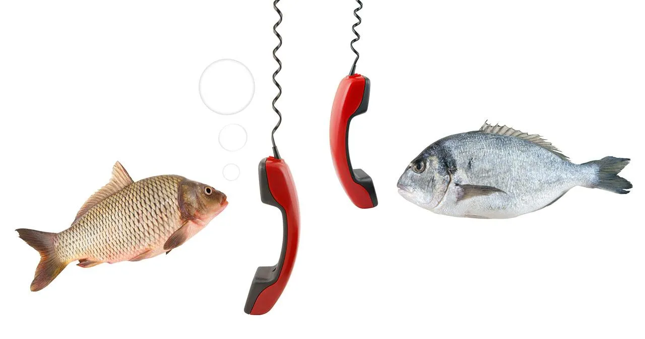 Linkbaits - better to use the phone first and then the email