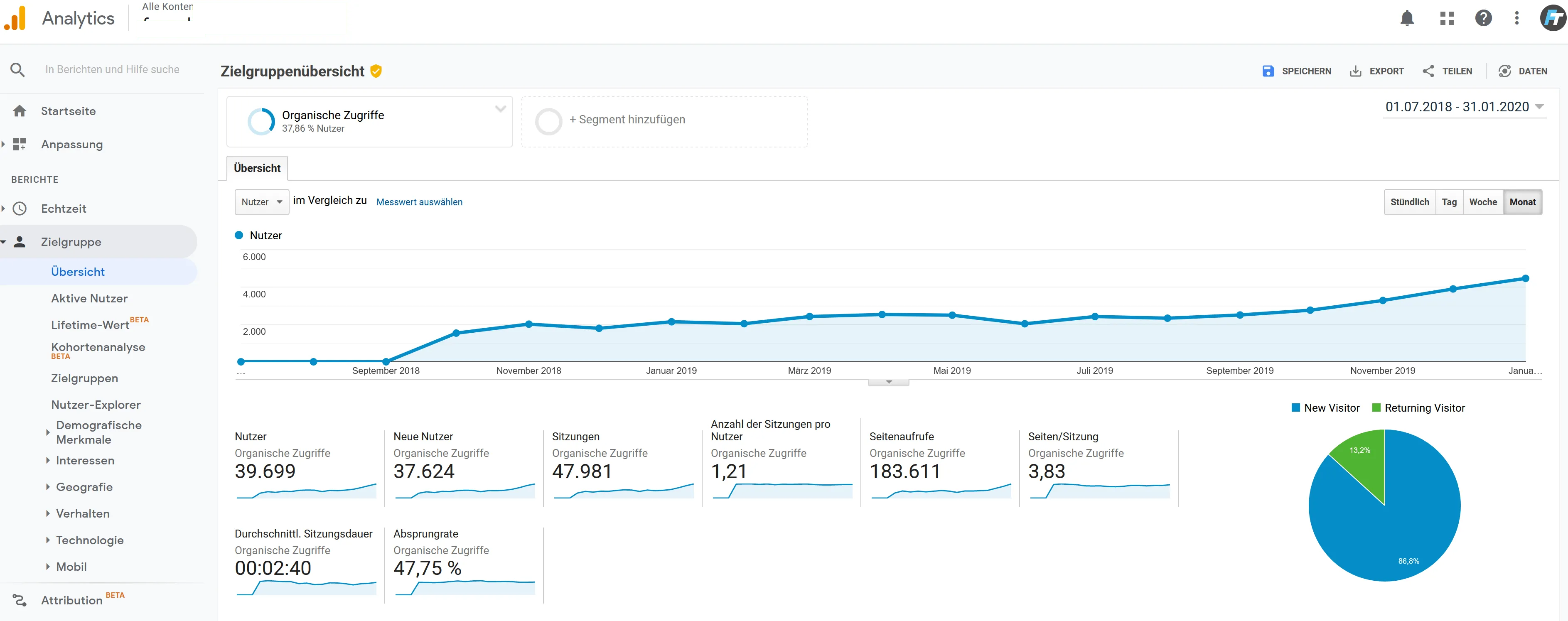 Ecommerce Case Study SEO