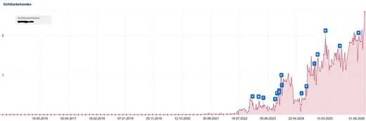 Visibility index over time – jewelry online shop