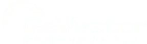 GeVestor