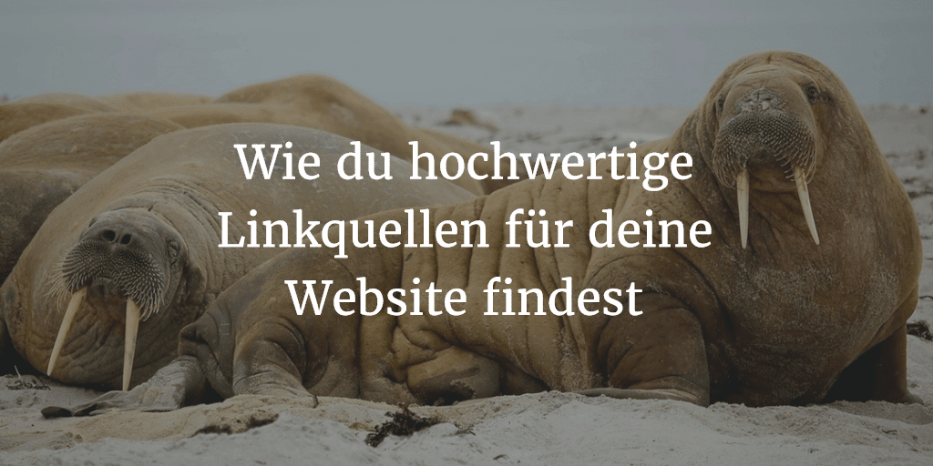 Hochwertige Linkquellen für Website finden