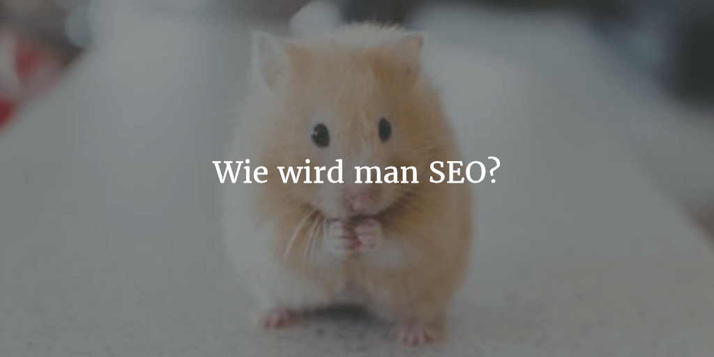Wie wird man SEO?