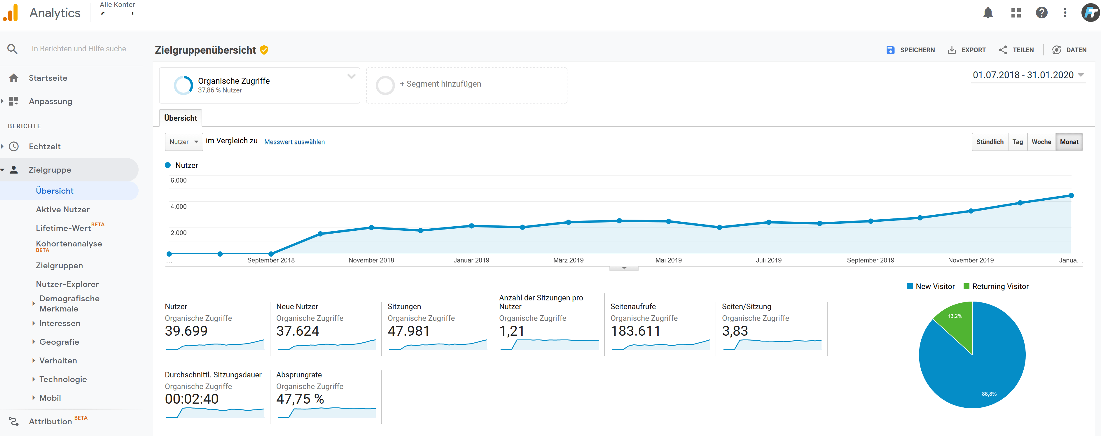 Ecommerce Case Studie SEO