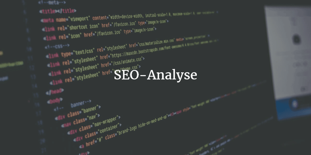 SEO Analyse
