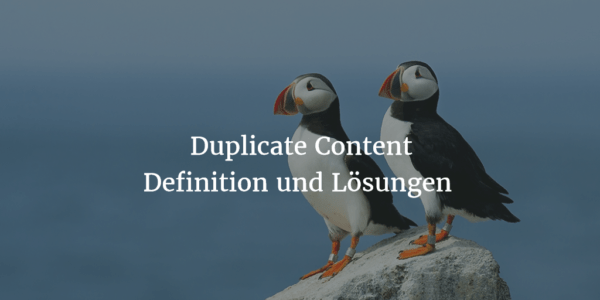 Duplicate Content – Lösungen zur Behebung von doppelten Inhalten