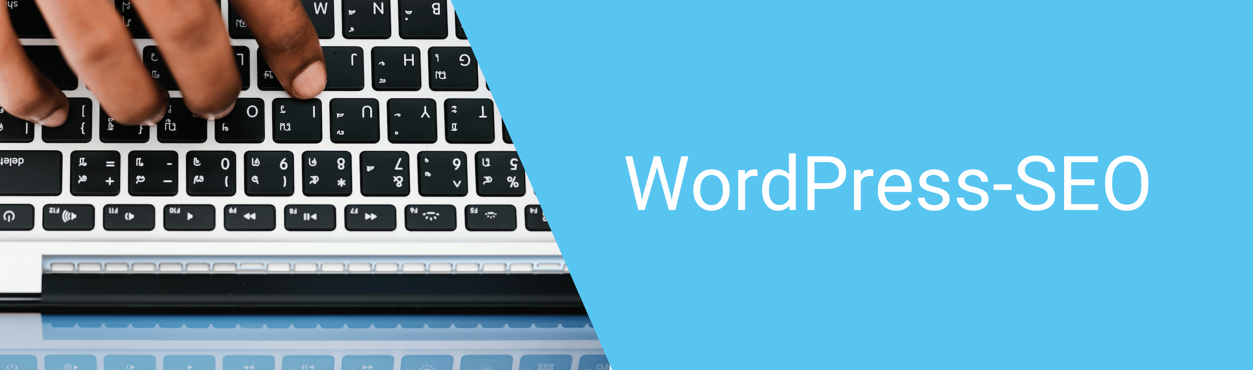 WordPress SEO Anleitung