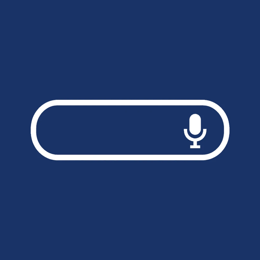 Voice Search