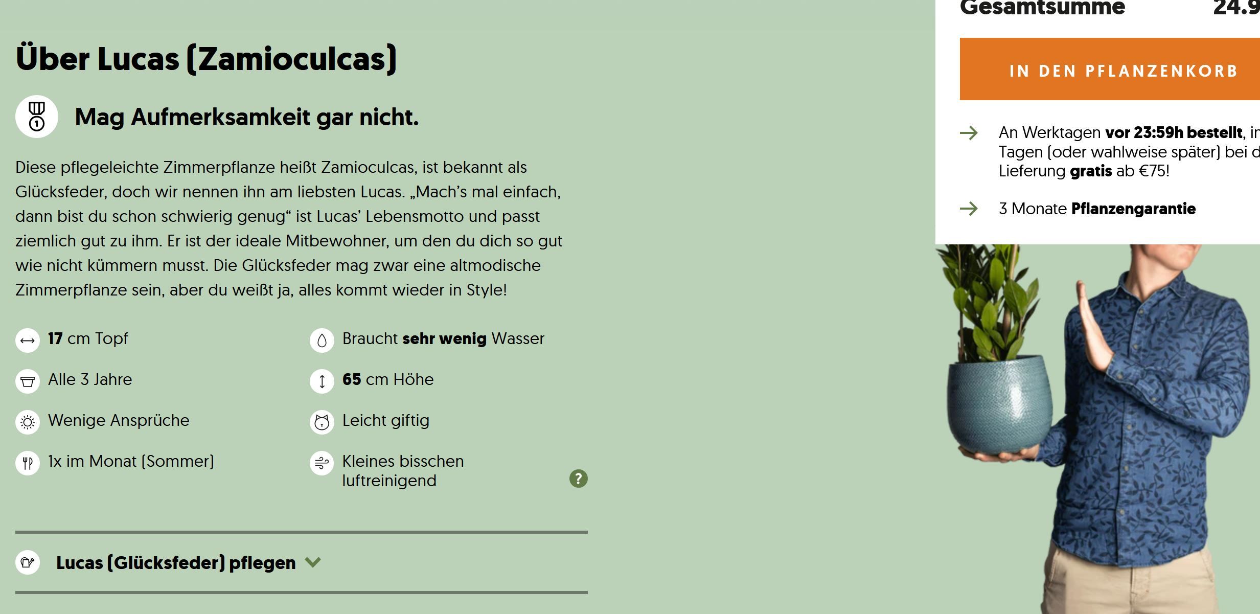 Produktseite gutes Beispiel